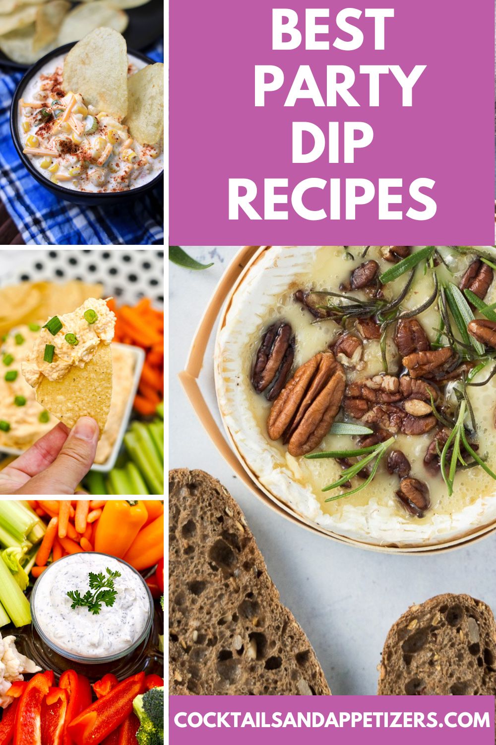 Best Party Dips Collection