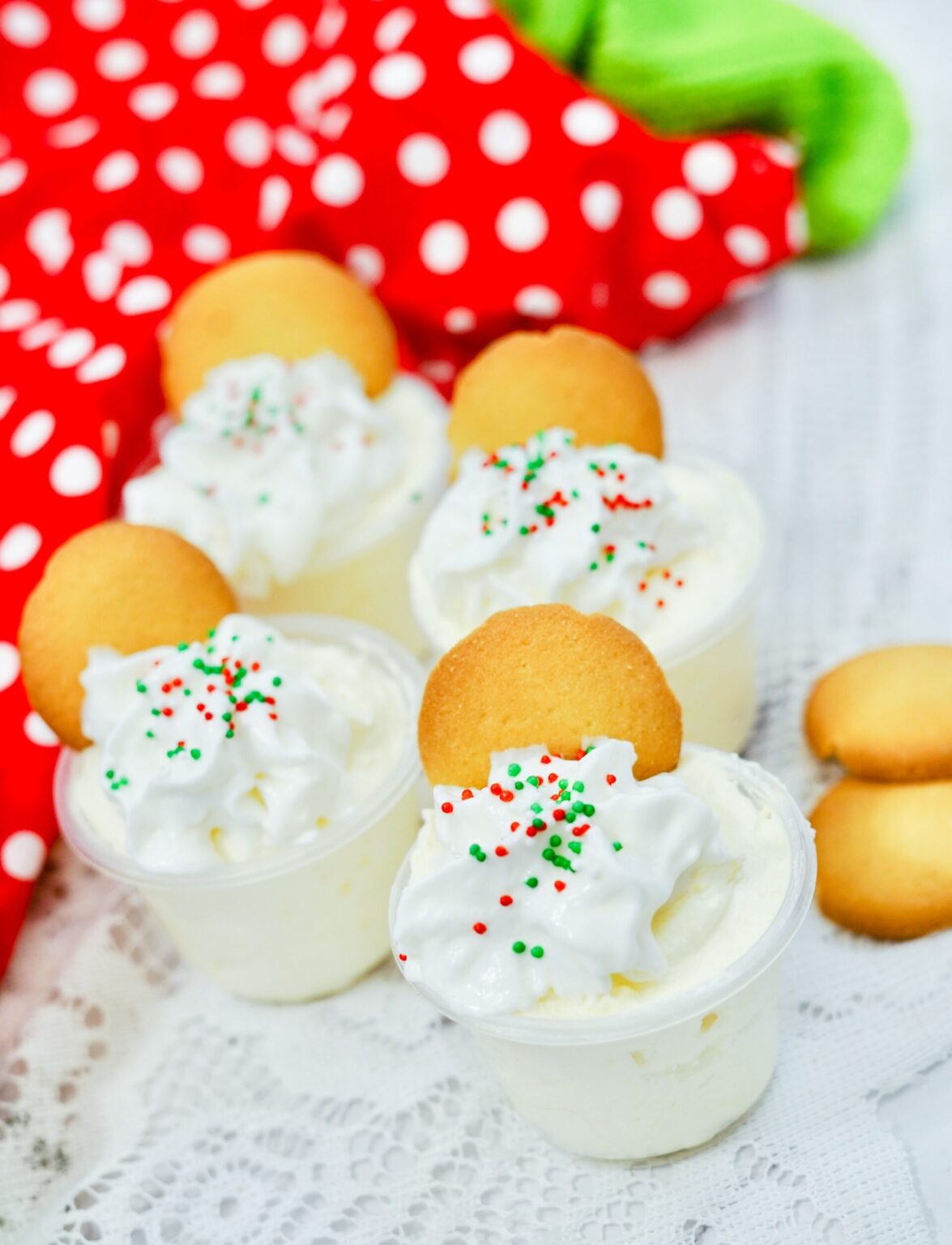 Cinnamon Vodka Pudding Shots - Cocktails and Appetizers