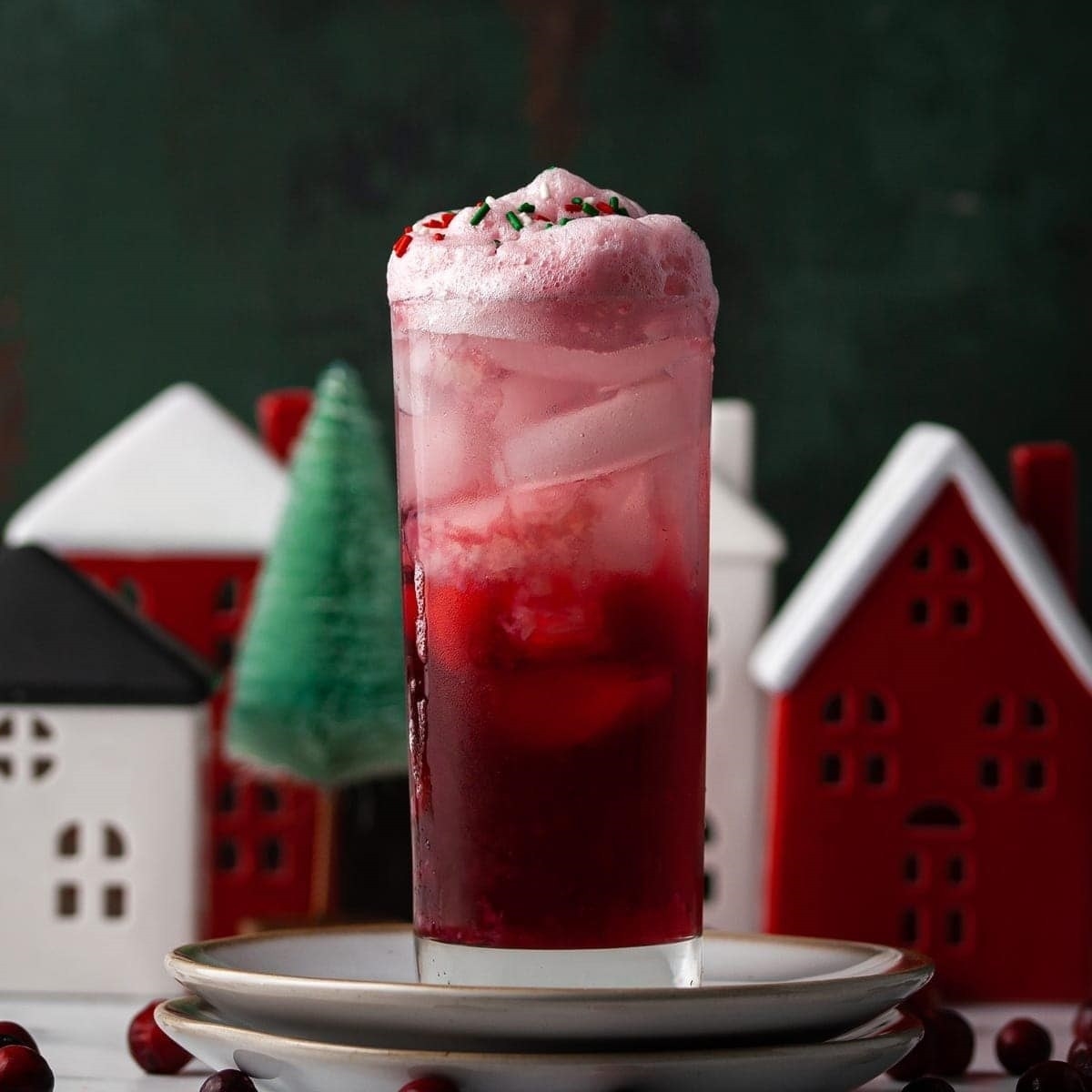 Gin And Cranberry Christmas Cocktail